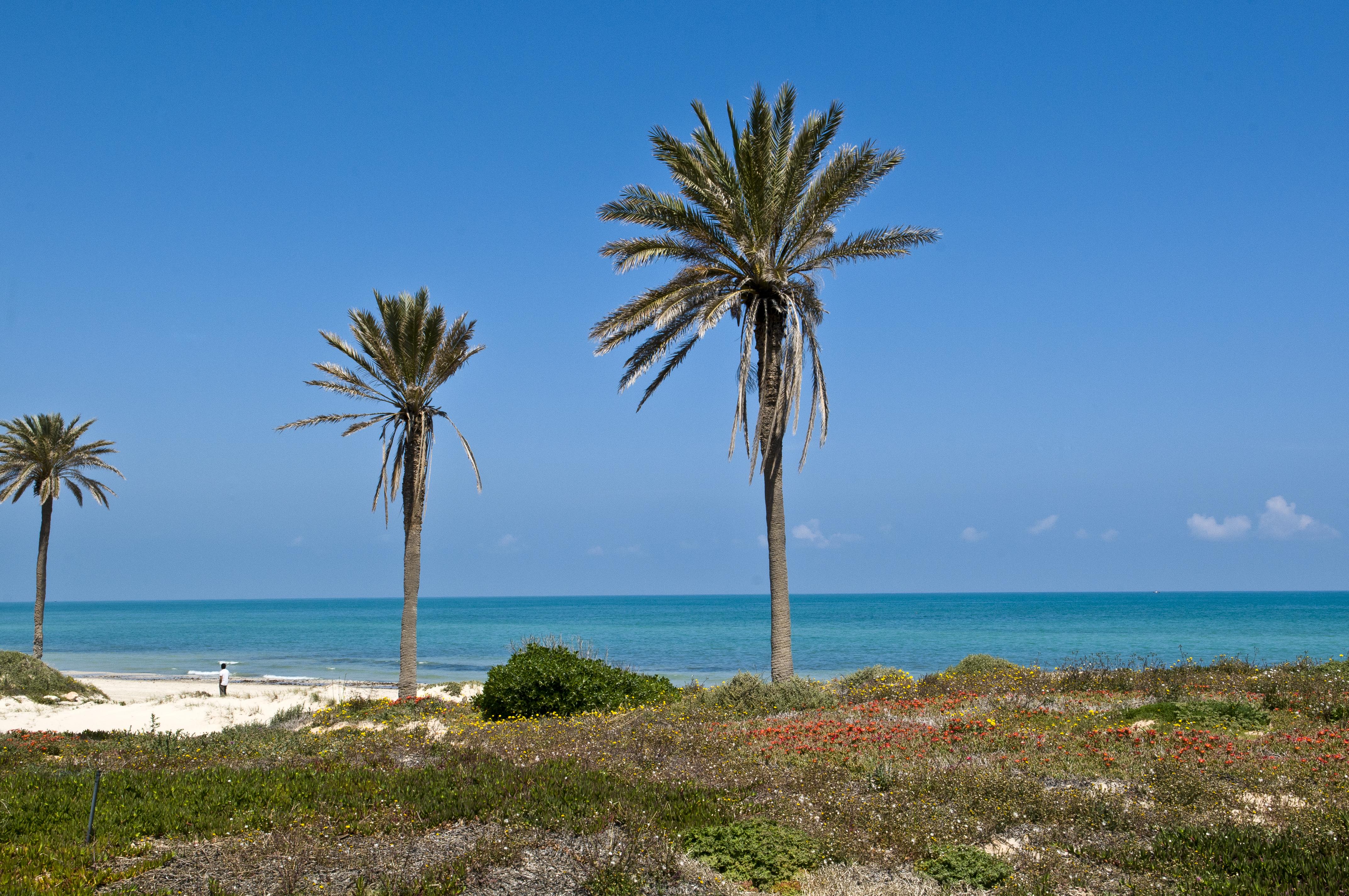 Готель Ulysse Djerba Thalasso & Spa (Adults Only) Mezraia Екстер'єр фото